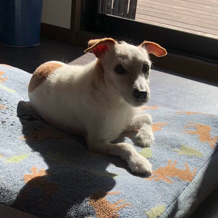 3cd839ad 17c5 43df 9488 a55485d1826c 1511232749088