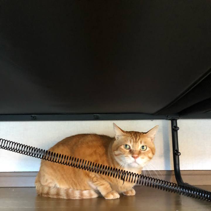 3cd85d01 695f 4168 8c91 65d728c027a9 1633075254803