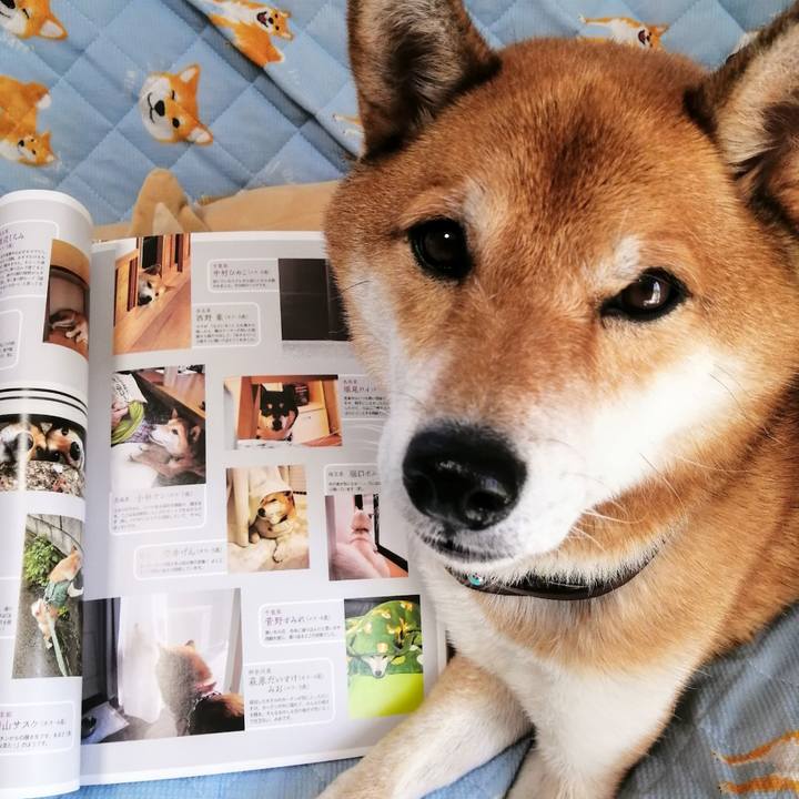 3cd89d9b 219d 42ce 9ba0 35793cb3200e 1601433812028