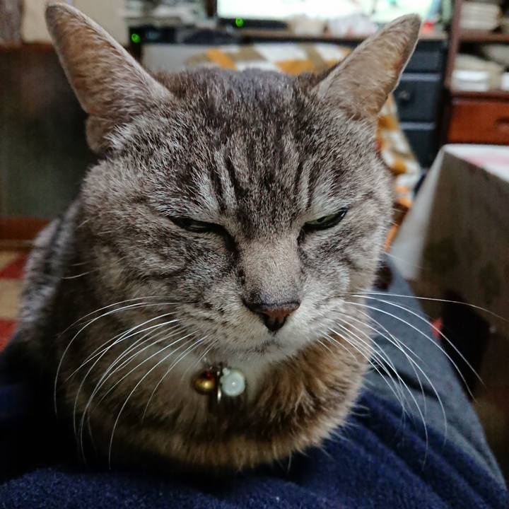 3cd8c2de 573f 4665 95a5 4bc55756b35f 1552904673075