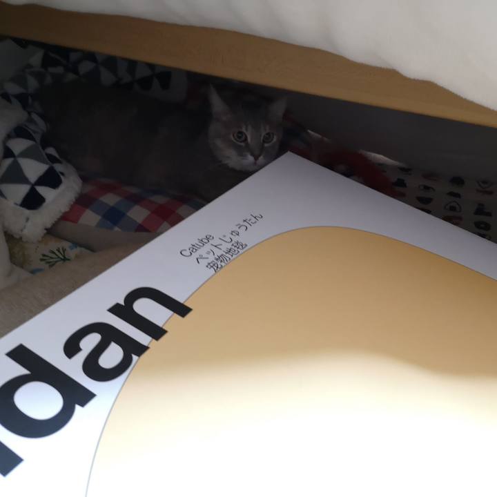 3cd8ebec 94e9 49cd ae4c f215535f6a46 1577244558477