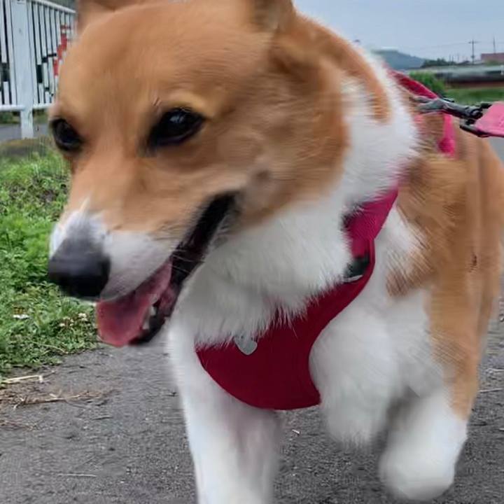 3cd8f798 5c34 470e 8ba1 a403dcec5e94 1658193172823