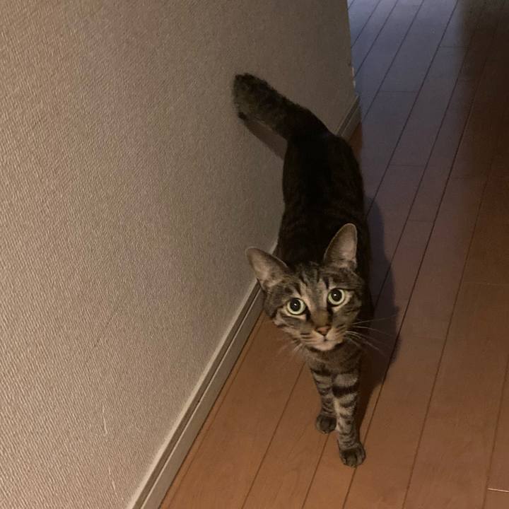 3cd91983 46af 4cf0 861c e5ca5bae3119 1622555852591