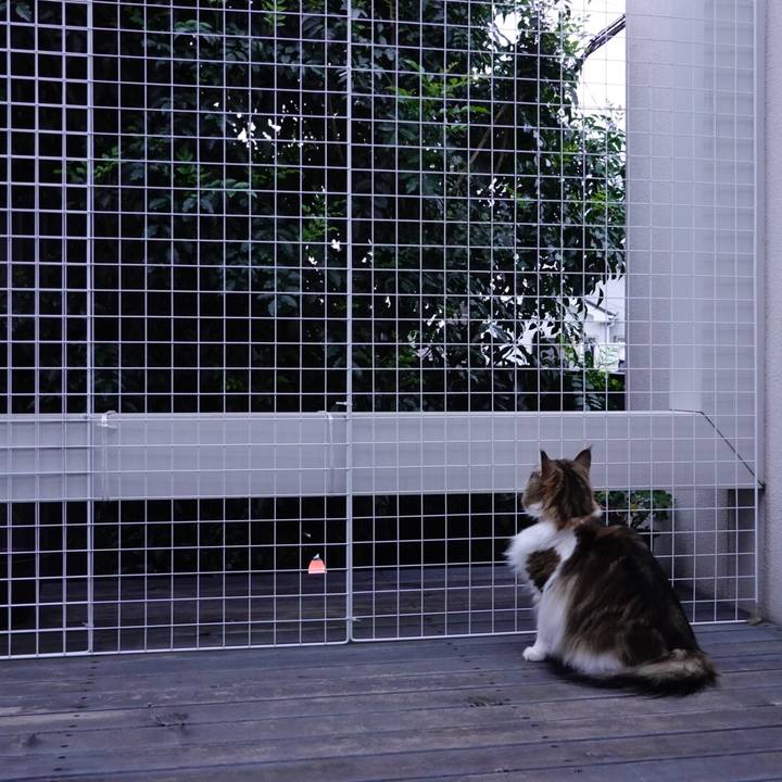 3cd98539 0fc5 4657 aa6a bd91c7f217aa 1669104612335