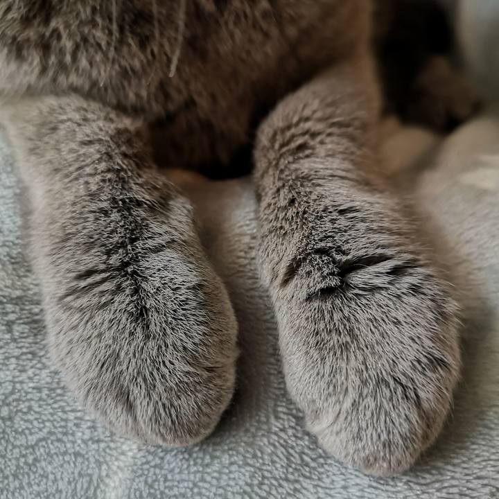 3cda2d73 099b 4194 84f8 1dee7aa18a97 1585438678560