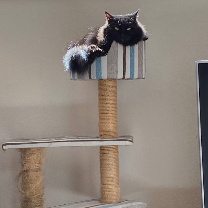 3cda5724 bc07 4267 97f1 99fa4c7632f4 1590718975765