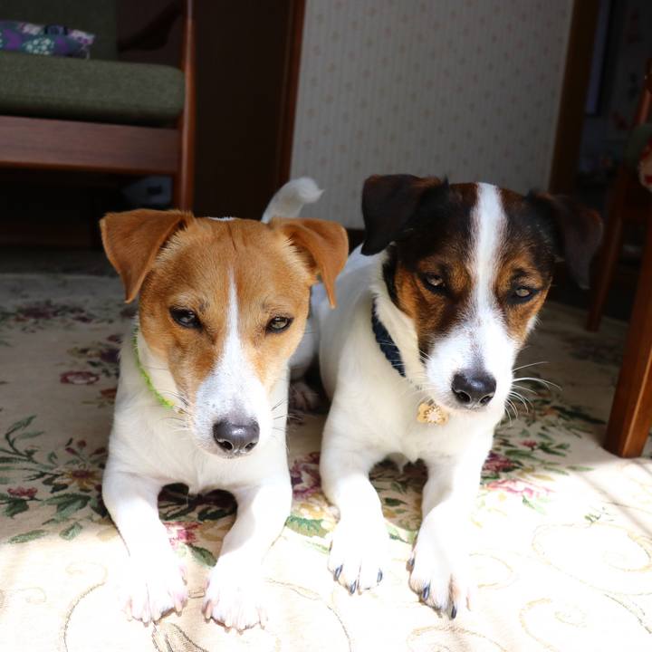 3cdab1e1 d838 4efd 8b9a f32bb6934a1a 1553394223528