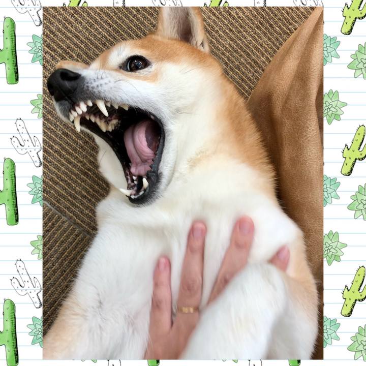 3cdab311 590f 4614 af93 04c0ce8e6253 1698970986344
