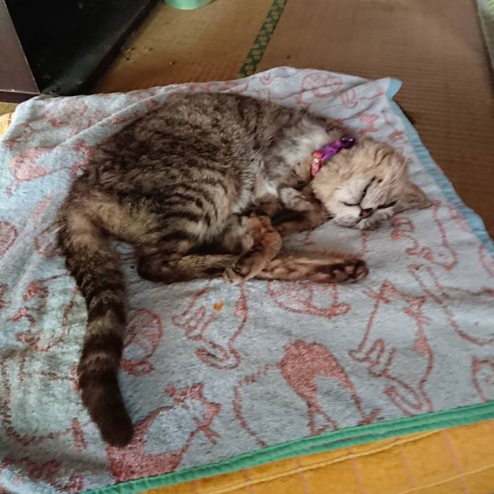 3cdad29b 1605 4498 aefd 3b52cb2e0bfc 1595660651449