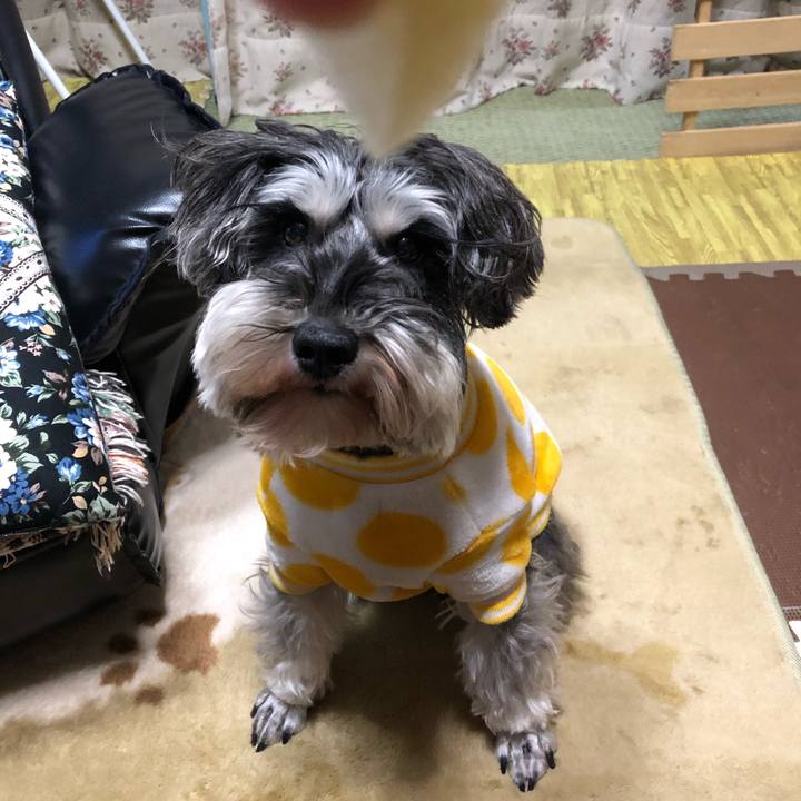 3cdadac7 b14b 4c0d 981f 8b5d3aedf44e 1546306903869