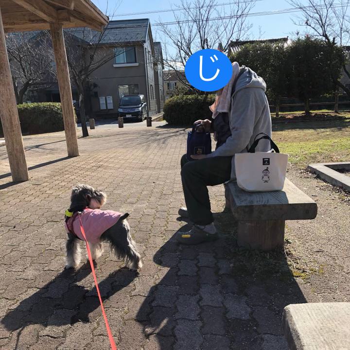 3cdae55c cd63 4a2a accf 58840d5ca3a9 1578727679179