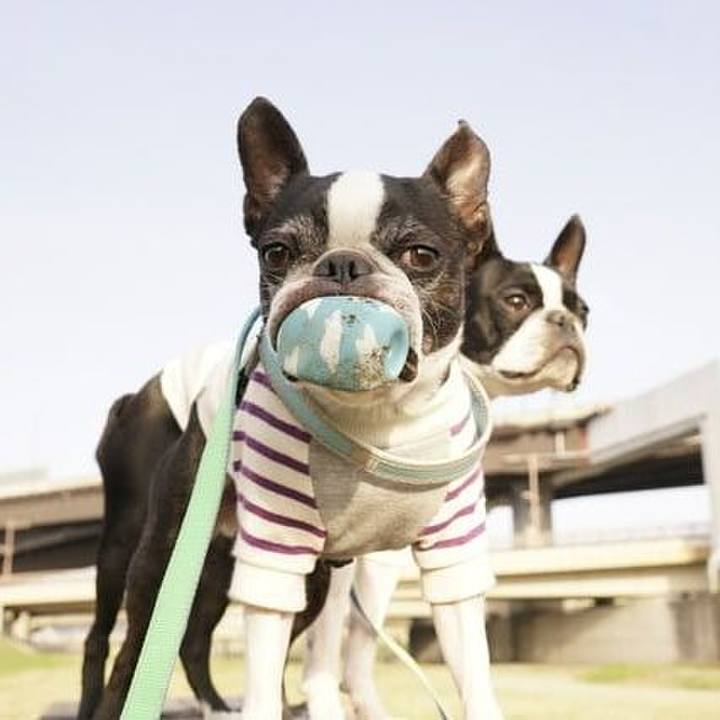 3cdaf90f 33ad 4fc8 ac89 d2bc208fce4d 1543748606301