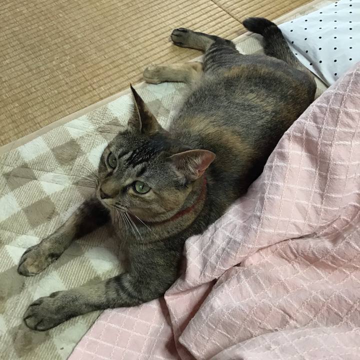 3cdb035a f518 44fe 861e 3364a30b925c 1641692148792