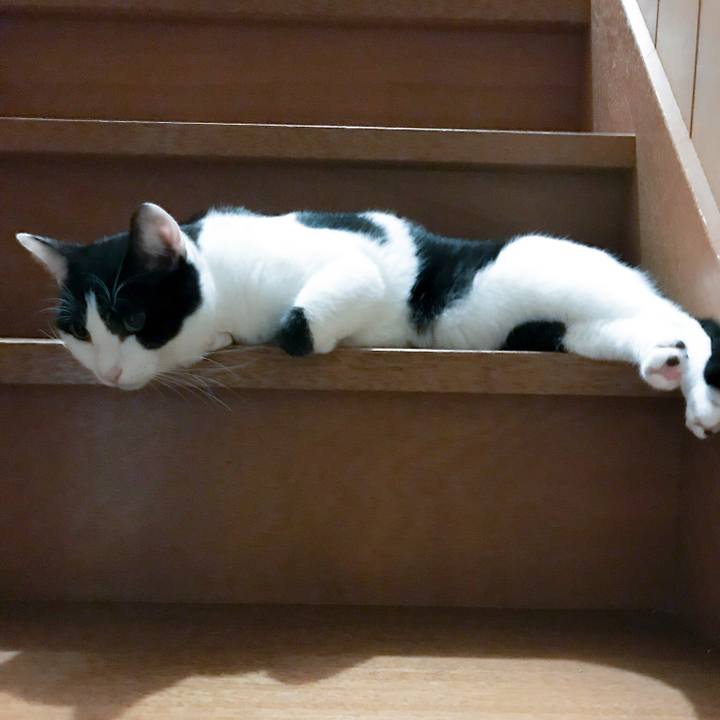 3cdb0591 a238 447e be2f 7f9c6287cb63 1510748370955