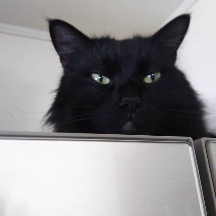 3cdb0607 89ee 4142 b695 1ed667b9b98c 1514900160940