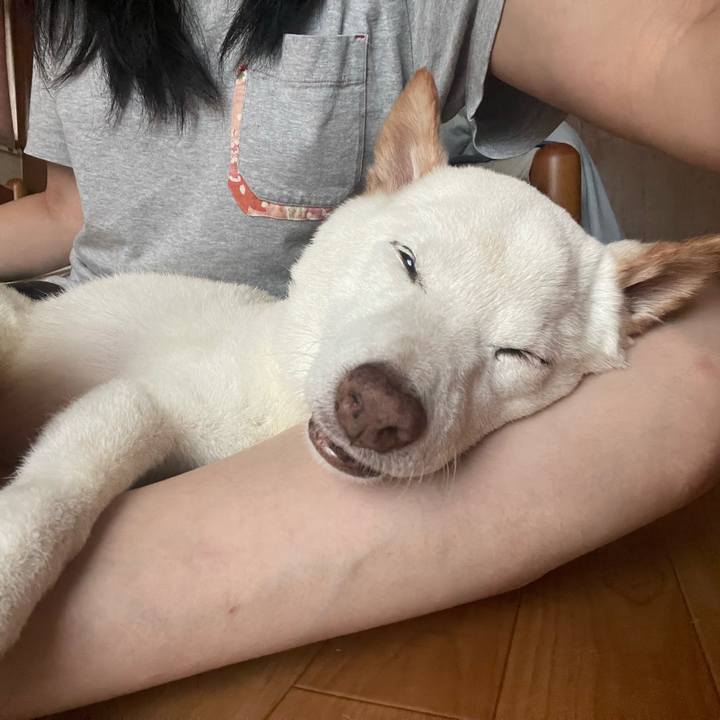 3cdb66b0 5840 453c a678 8799d52597cf 1662240373325