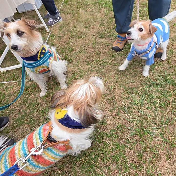 3cdb83c3 dcb6 416d b029 6e9454b31cca 1763893939277