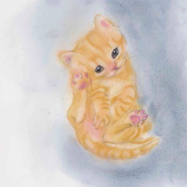 3cdb861c 0713 41a7 a033 354635cd1fb3 1591421062111