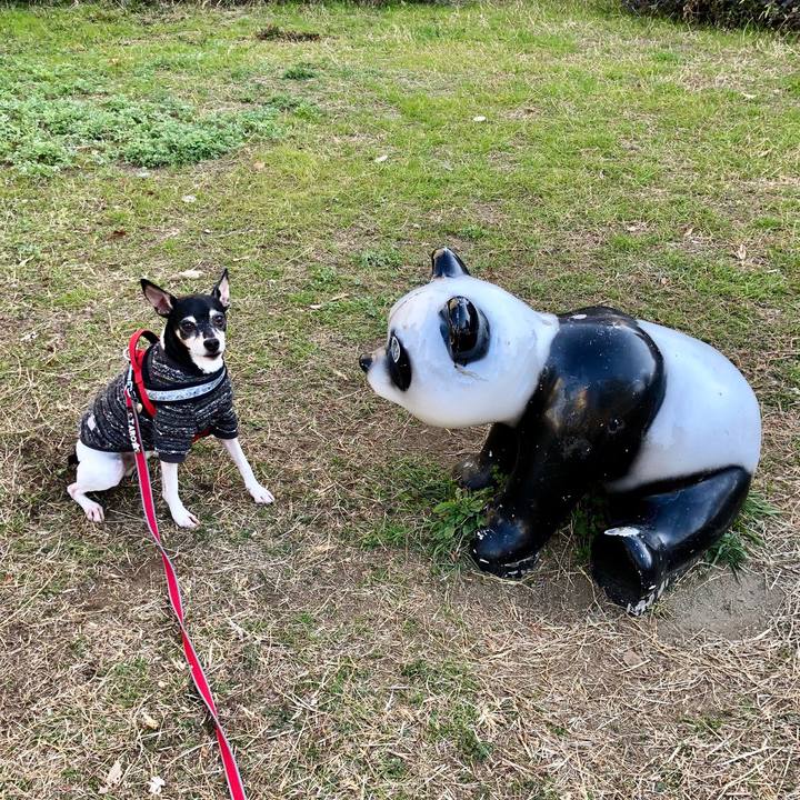 3cdbb6af 662d 4ccf aca9 182326a4cac4 1548295125516