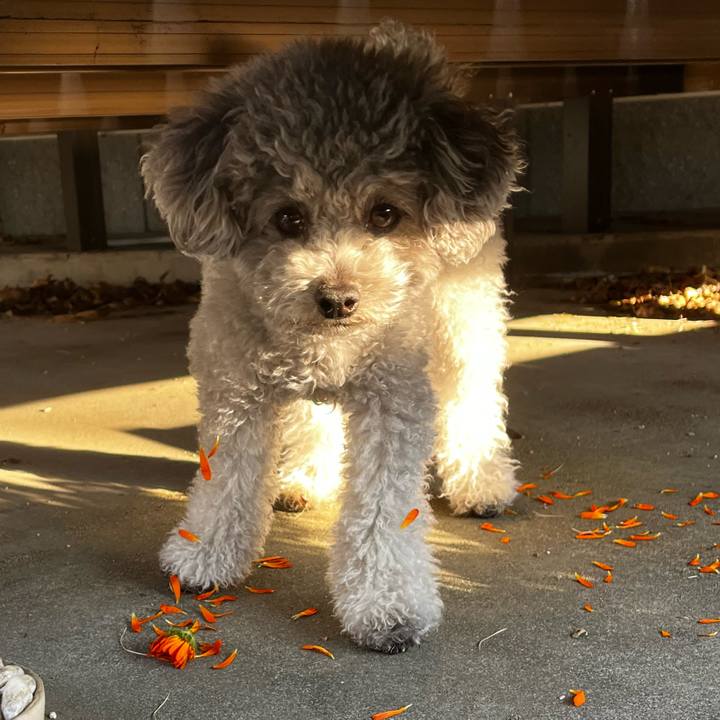 3cdbba28 6474 4f34 95a6 77330262cb23 1773269336785