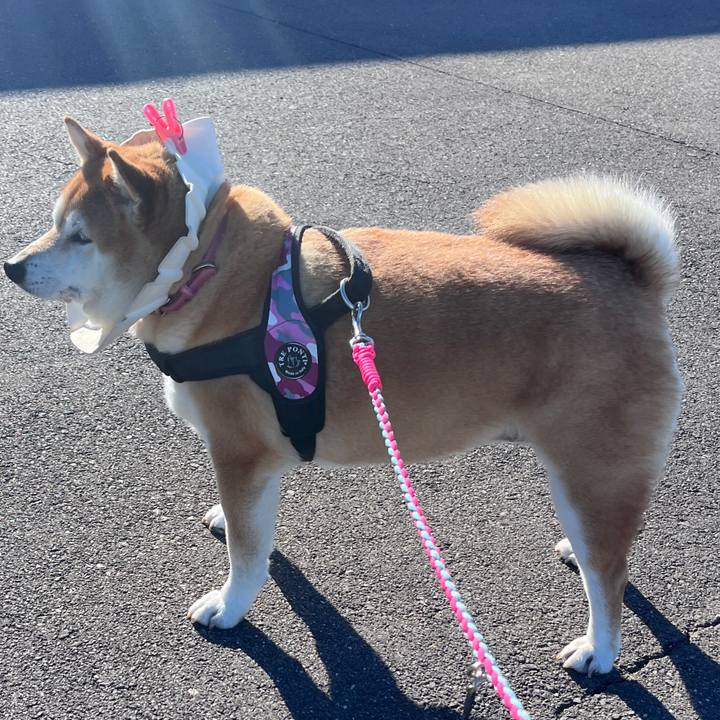 3cdbde4b 4c97 4d98 97fa 9a88becd7851 1706321284384