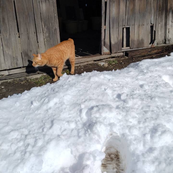 3cdc4903 fee7 43ad 893f 64714b3781cd 1671763819190