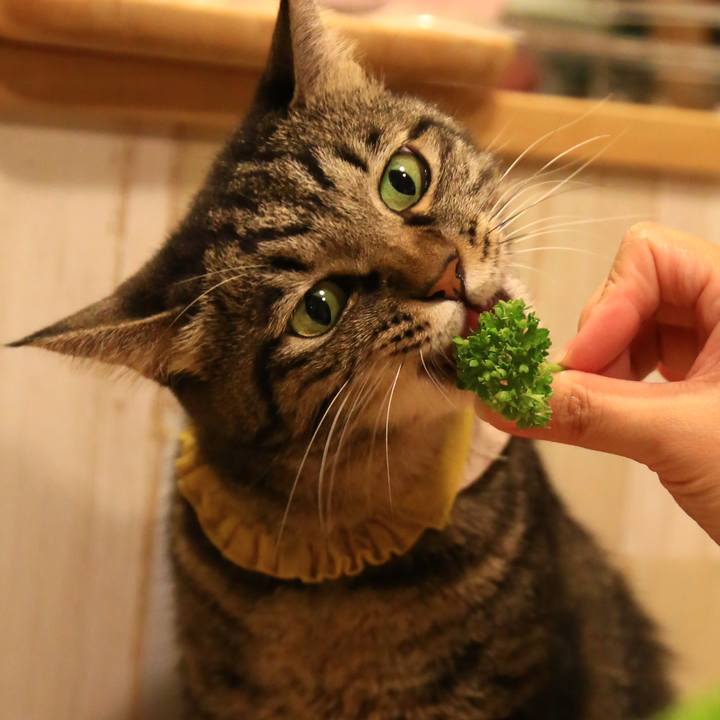 3cdc4e95 1778 49dd bd22 00b1dc54bad1 1693453381843