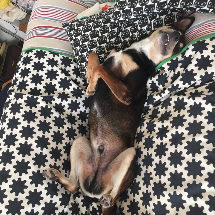 3cdc8be6 35a7 4bc2 9acc 27f08f4933d8 1538964942129