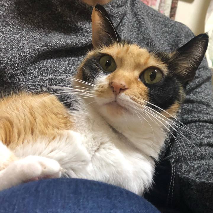 3cdc9364 34f1 4c53 a35a ee04037e53de 1576754979910