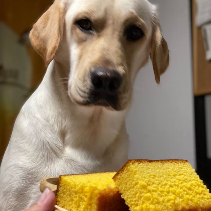 3cdd180b 0de1 4cf5 b582 b81ce3d23c72 1658664093603