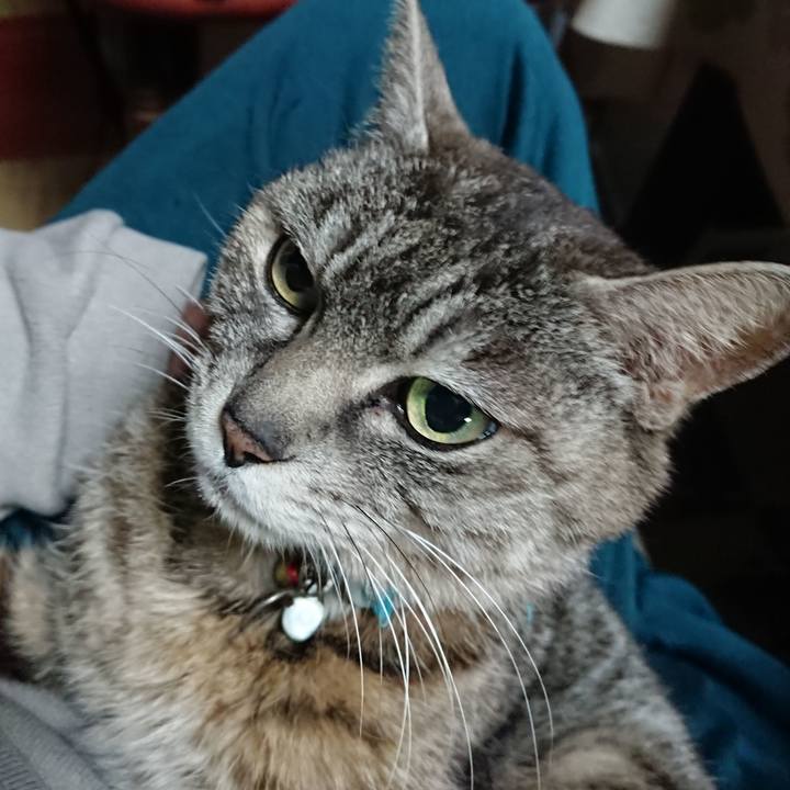 3cdd4a9d 64fd 4dd2 9620 ae3e1a3f82ba 1555670953452