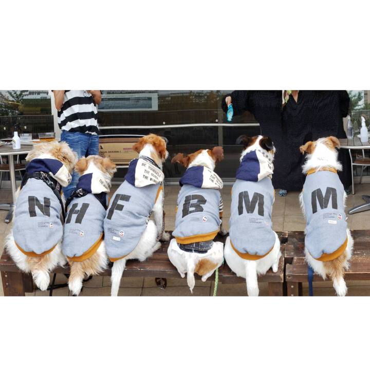 3cdd4e16 b14c 455f ac76 047e1c4b891e 1624251675086