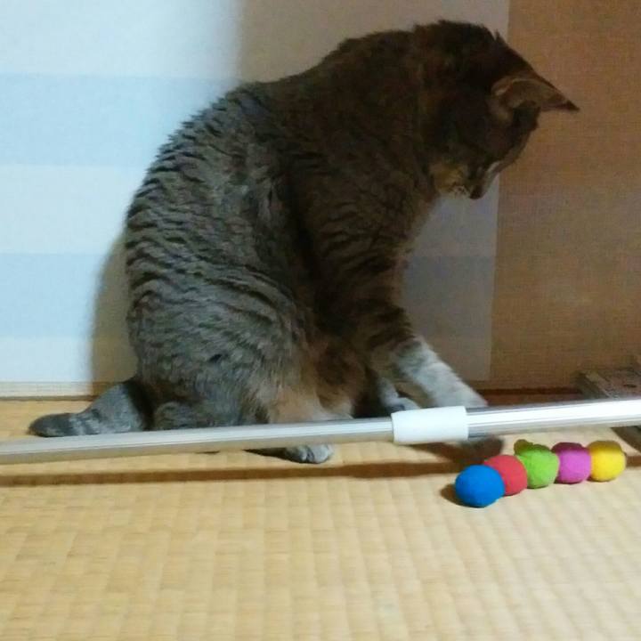 3cdd69df 820d 48b4 8c6e 6f7266888617 1588424274396