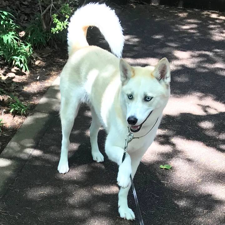 3cdd6a1f 021f 4abb bb4e 2b3c0af15330 1530568984214