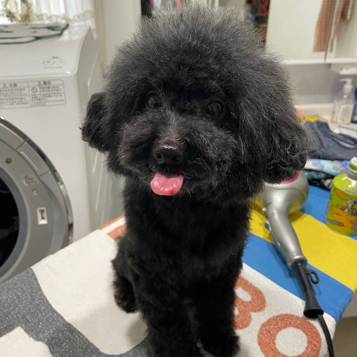 3cdd7bbc 530c 4b29 9583 034dcf071570 1613900383777