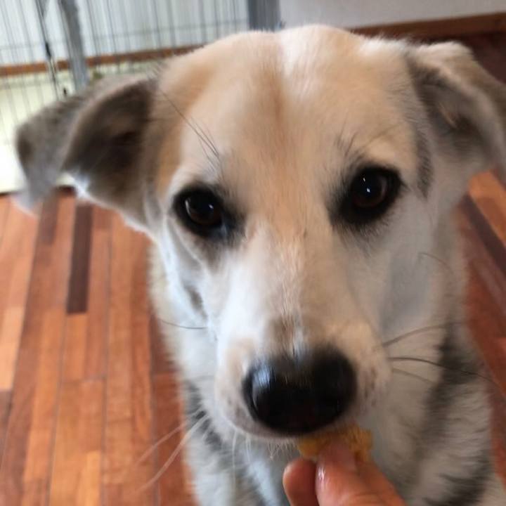 3cdd8afa 5dd8 4431 a46c 110addd13d25 1554429360240