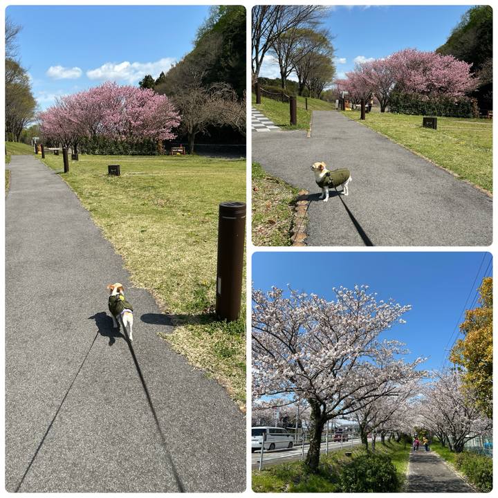 3cdd96b1 1e0d 4392 9fcc 8fd35530fccb 1775107226056