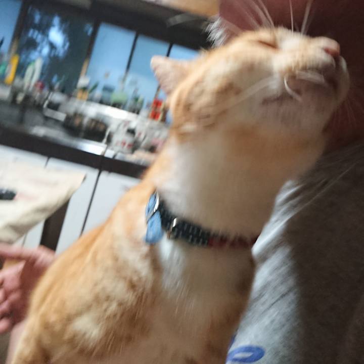 3cddb720 3155 4fec 8dfc daa0c89dbc6f 1598213936515