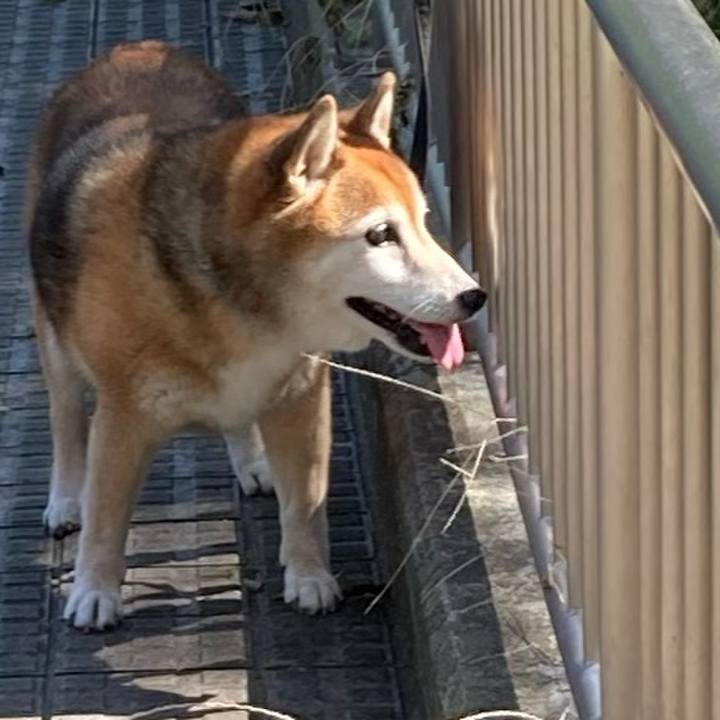 3cddc2b2 dfbb 472e 8fe1 b466ceb7f640 1727864315905