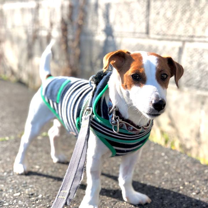 3cde67e3 e7e5 4bb6 ba8f cd4c3644e384 1611221786205