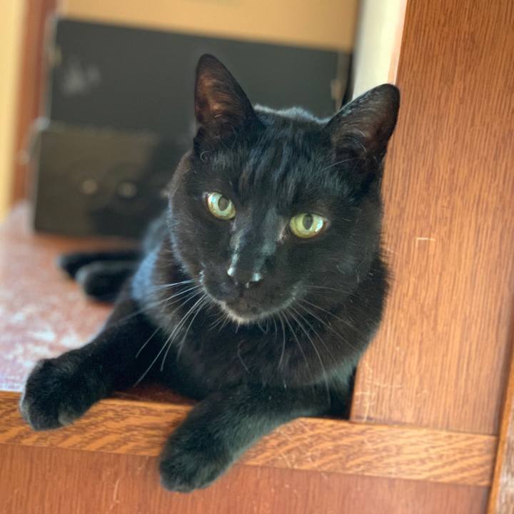 3cde8868 4cb6 42ed baac f5d180c499e7 1586309394088