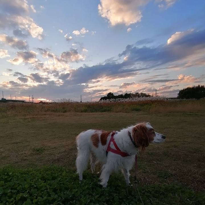 3cde9758 6709 4db7 9645 5c87577008c7 1605261574401