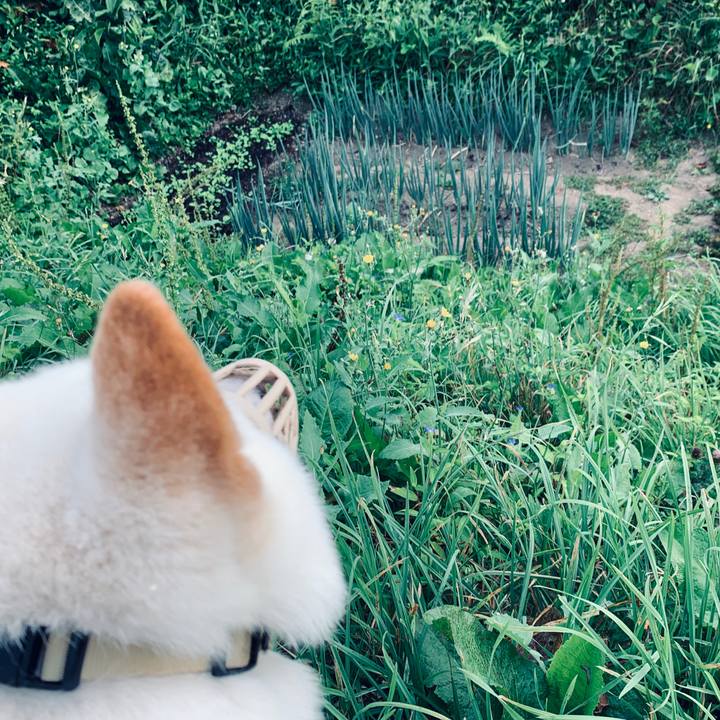 3cdea196 59ba 41cf a2f1 b999aa104280 1598478094485