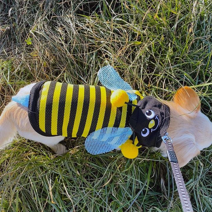 3cdeb308 e802 4b48 b448 b4d3d1452d55 1610526278782