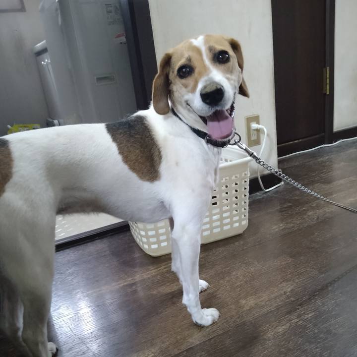 3cdec4a2 f50d 46a1 a5aa 9ef423796033 1626236968917