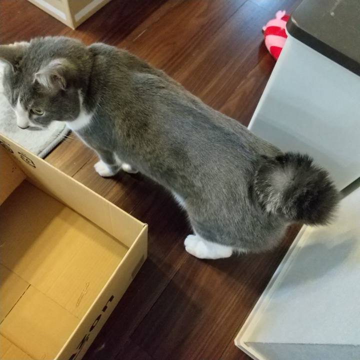 3cdecad8 8f64 4e60 b53a dccc4b4c8112 1647432610381