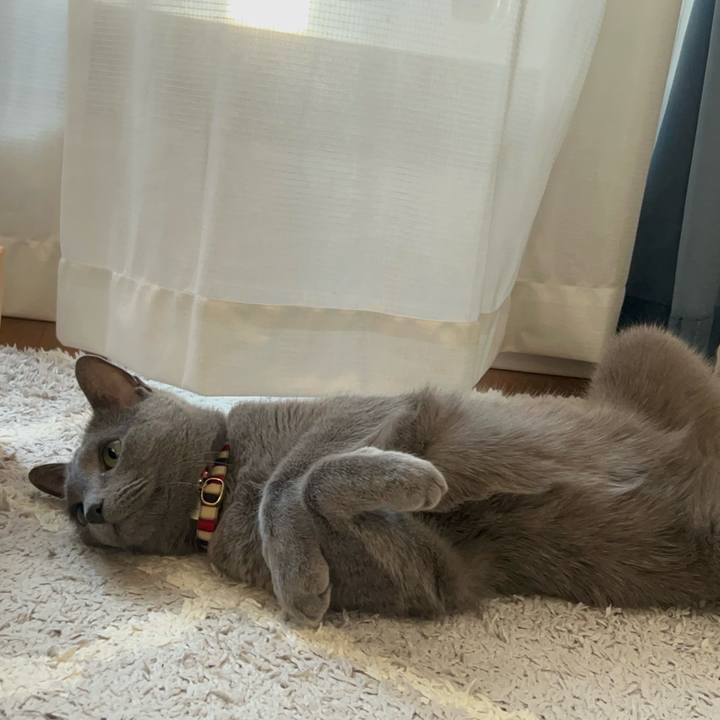 3cdef4af 961d 4d2f 8fd0 7f0064e2d2e7 1742724734631