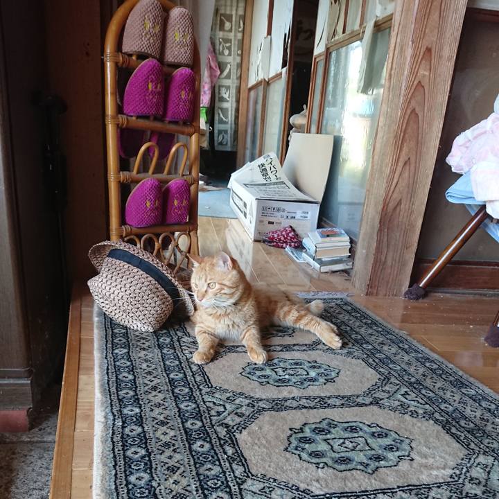 3cdf0f01 aa27 4a39 a3f1 7bb51bdd23cb 1656714492415