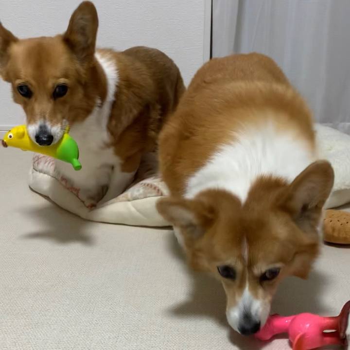 3cdf8e52 0922 42e7 a438 238312f02aa5 1709963155712