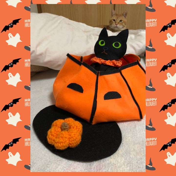 3ce02b6c e299 4256 8f0f 55177903cfc0 1604144850440